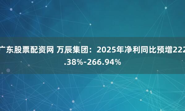 广东股票配资网 万辰集团：2025年净利同比预增222.38%-266.94%